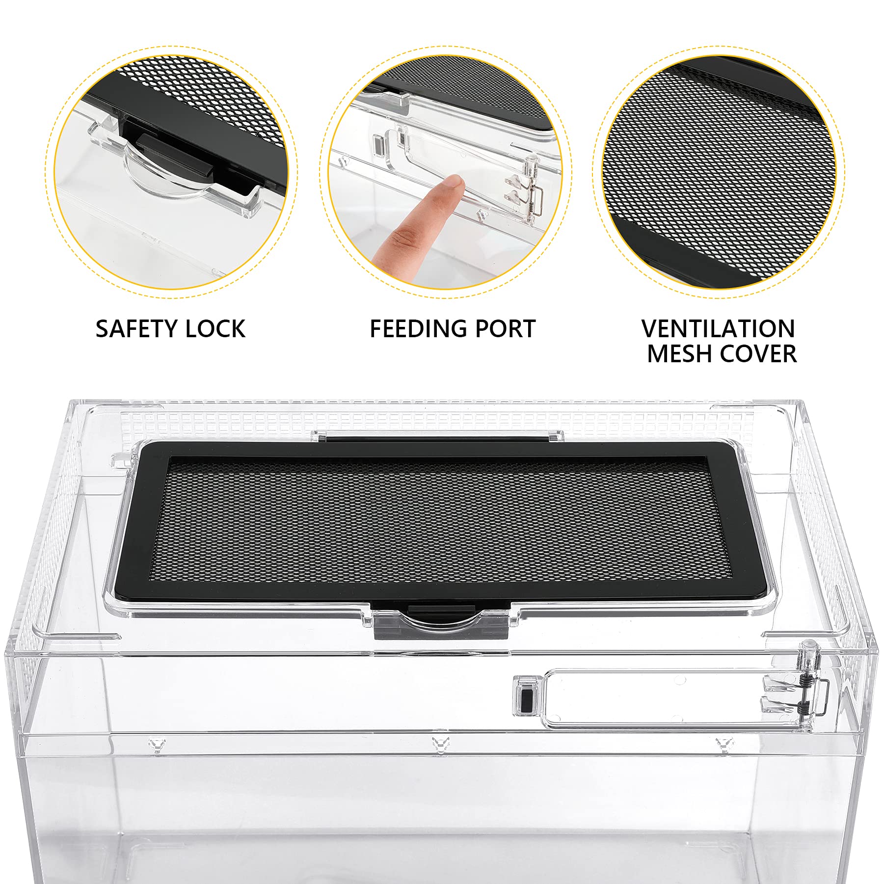 Reptile Pc Terrarium,Anti Breakage 12X7X9 Inch Insect Amphibians Tank Spider Starter Kits,Top Sliding Door Screen Ventilation Mi